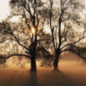 Meet your Posher, Aleena